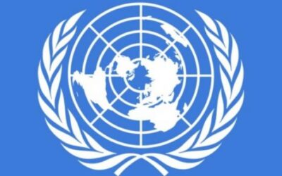 Llamado urgente de apoyo al Comité de Derechos del Niño de Naciones Unidas