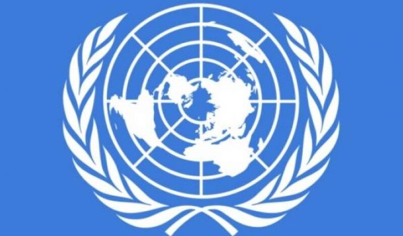 Llamado urgente de apoyo al Comité de Derechos del Niño de Naciones Unidas